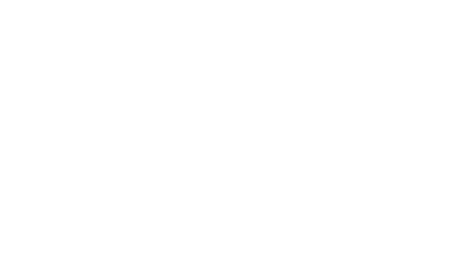the-salmon-market-logotipo---colaboradores-de-vitruvia-cafe-en-vigo2